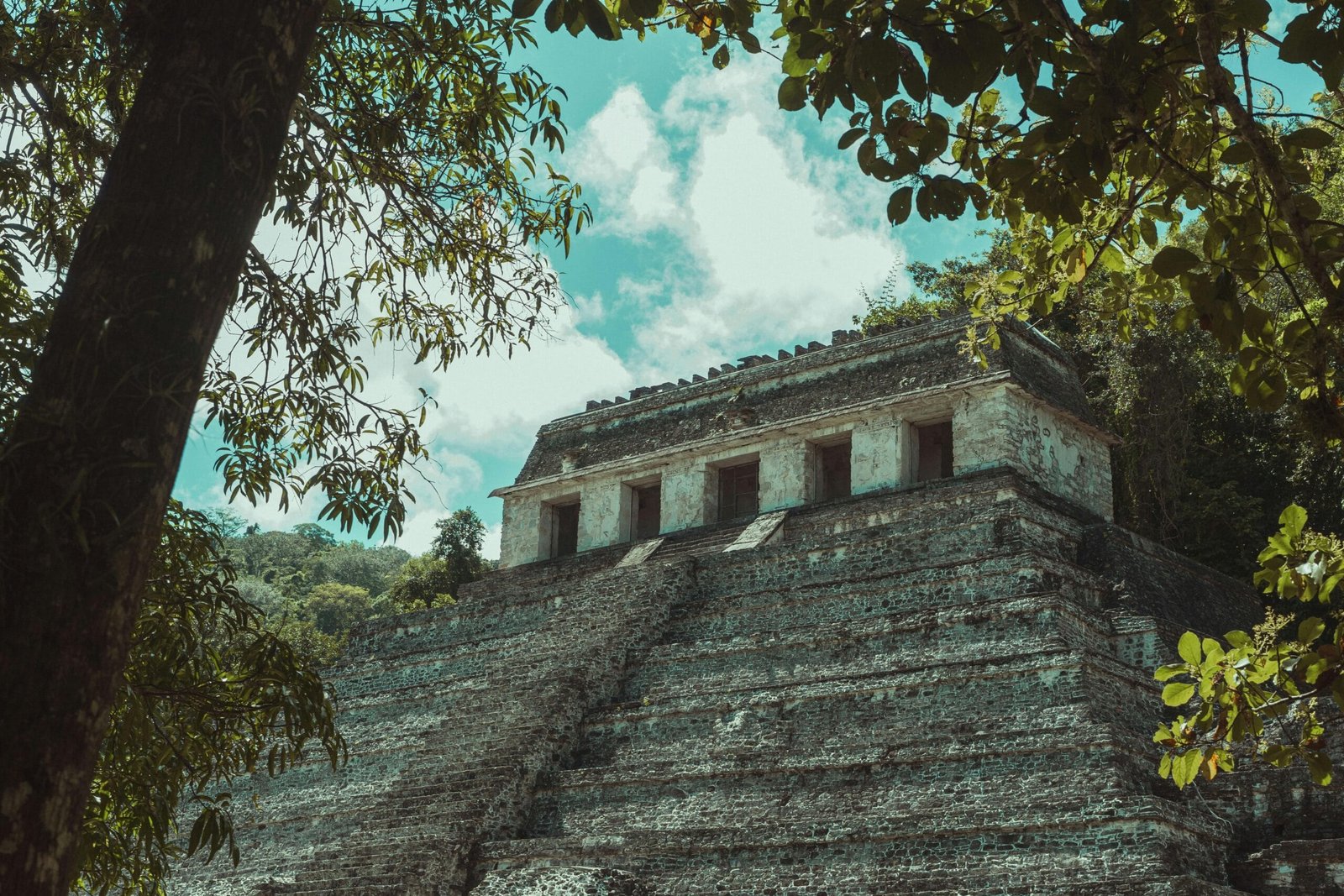 Pirámide de las Rutas para viajar por Centroamérica, se encuentra dentro de la selva en un paisaje natural.