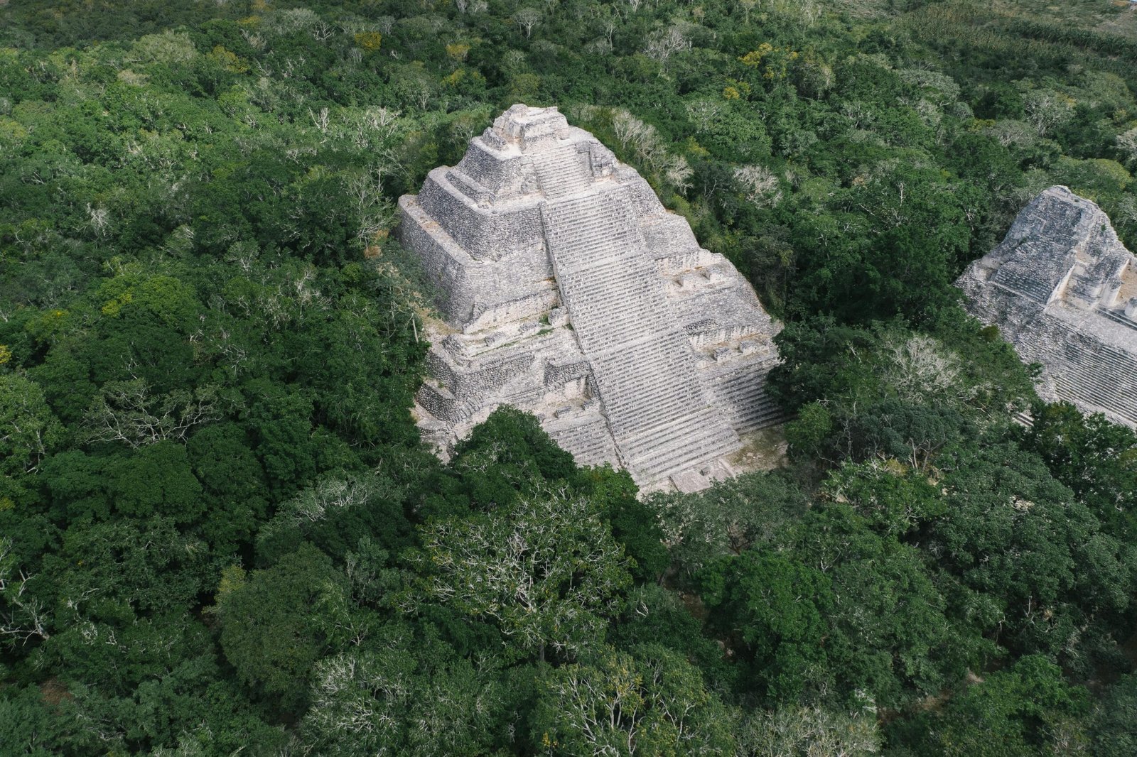 Pirámide de Calakmul, sitio turístico en medio de la selva, siendo un paisaje natural y parte de la ruta maya y parte de las Rutas para viajar por Centroamérica.